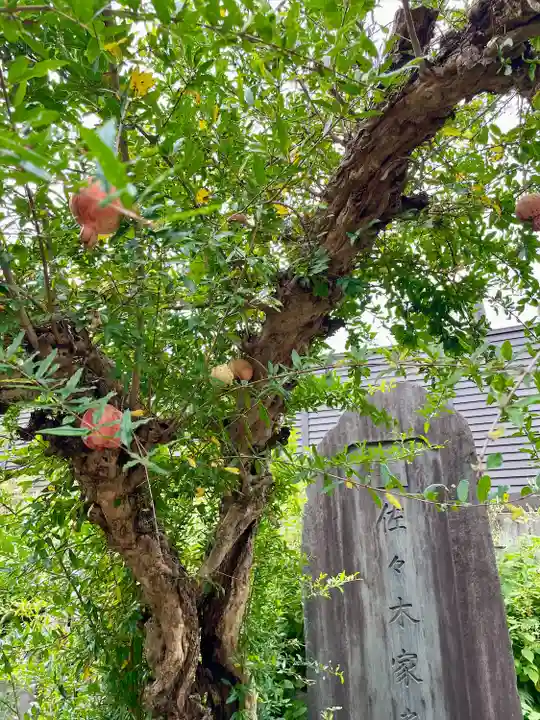 大雄寺(東京都)