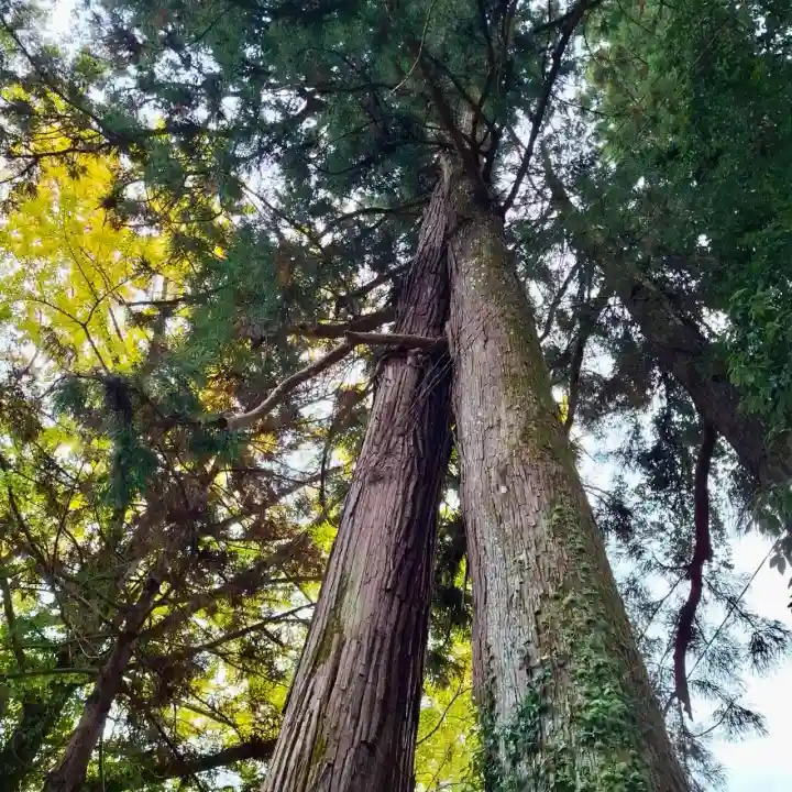 高尾山薬王院(東京都)