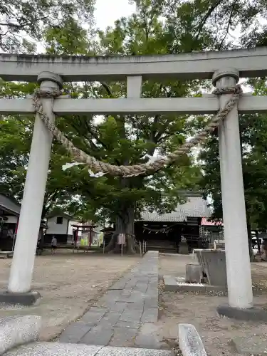白鳥神社の{uncategorized: "未分類", other: "その他", undefined: "問題あり", building: "その他建物", grave: "お墓", sacred_gate: "鳥居", guardian: "狛犬", statue: "像", buddha: "仏像", history: "歴史", nature: "自然", garden: "庭園", animal: "動物", pagoda: "塔", temizu: "手水舎", mountain_gate: "山門・神門", sanctuary: "本殿・本堂", subordinate: "末社・摂社", art: "芸術", scenery: "景色", jizo: "地蔵", ema: "絵馬", goshuin: "御朱印", omikuji: "おみくじ", items: "授与品その他", amulet: "お守り", goshuincho: "御朱印帳", eats: "食事", festival: "お祭り", votive_dance: "神楽", shichigosan: "七五三参", wedding: "結婚式", experience: "体験その他", initially: "初詣", around: "周辺", anti_infection: "感染症対策"}