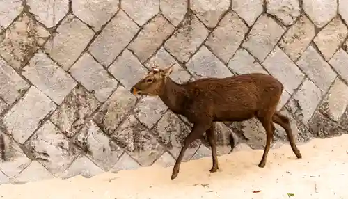 厳島神社(広島県)
