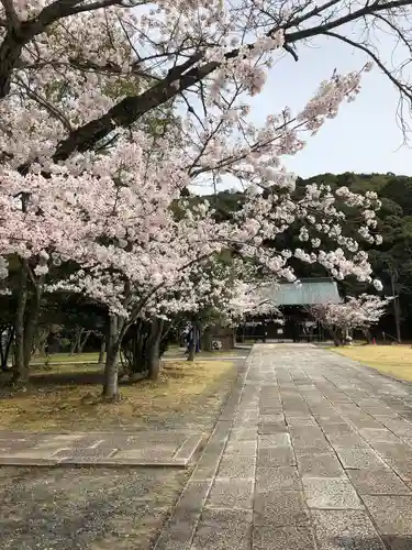 豊国廟（豊国神社飛地境内）の自然