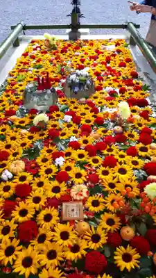 住吉神社の手水舎