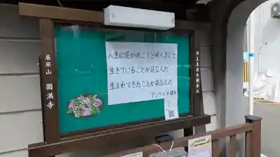 圓満寺（円満寺）(大阪府)