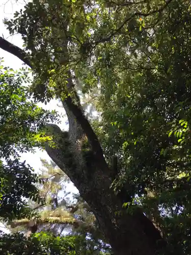 御食神社（豊受大神宮摂社）の庭園