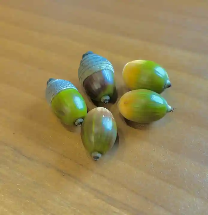 蚊里田八幡宮(長野県)