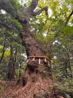 熱田神宮(愛知県)