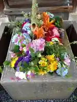 勝林寺の手水舎