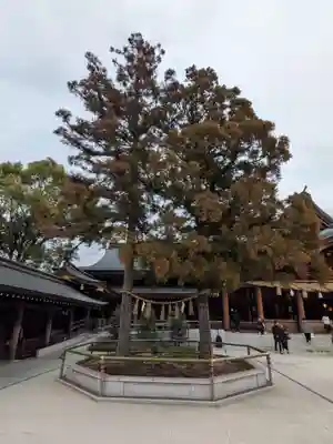 寒川神社(神奈川県)