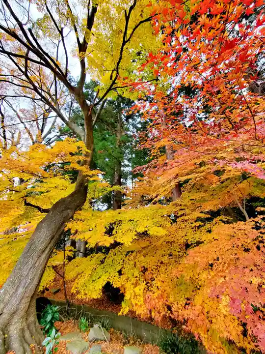 神炊館神社 ⁂奥州須賀川総鎮守⁂(福島県)