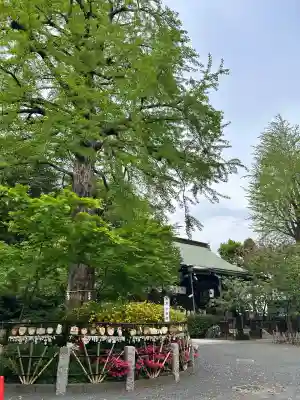七社神社(東京都)