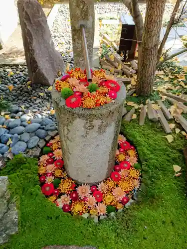 行田八幡神社の庭園