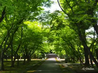 興聖寺(京都府)