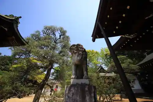 松陰神社の狛犬