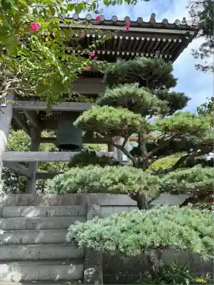 長谷寺(神奈川県)