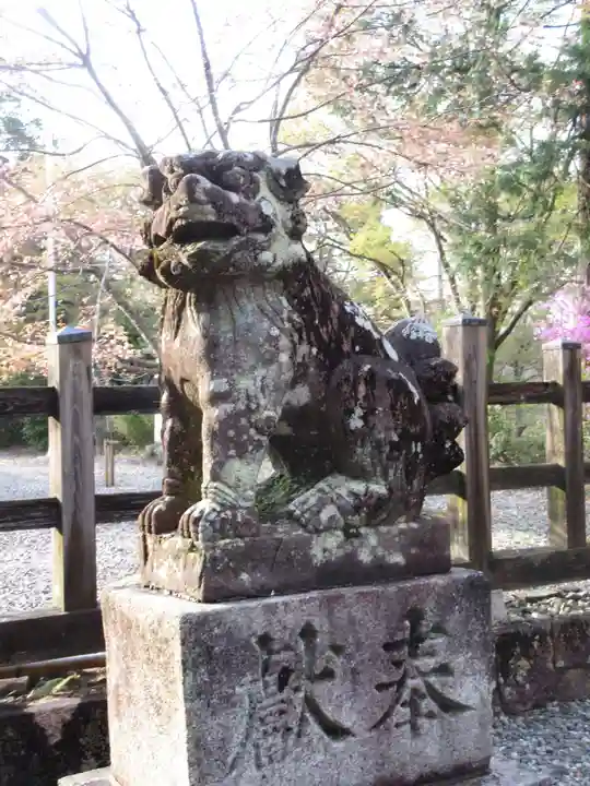 吉野神宮の狛犬