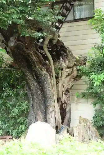 延命院(東京都)