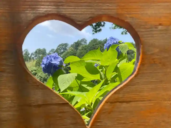 柳谷観音 楊谷寺の自然