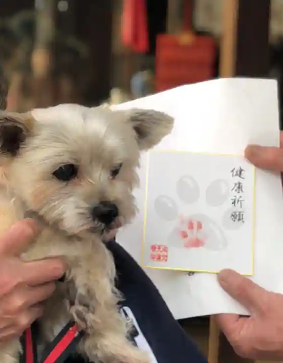 水火天満宮の動物