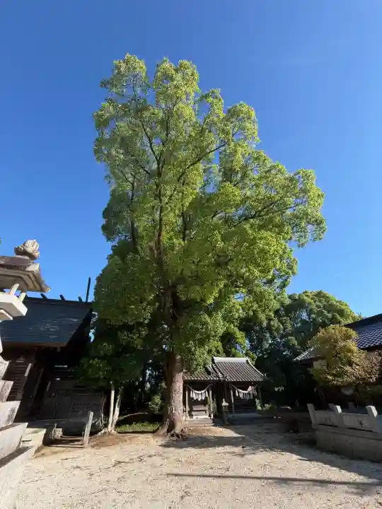神明社(大島町神社)(愛知県)