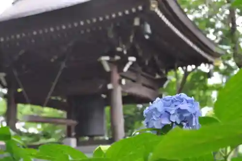 妙楽寺の庭園