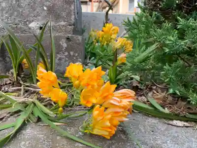 道祖神社の自然