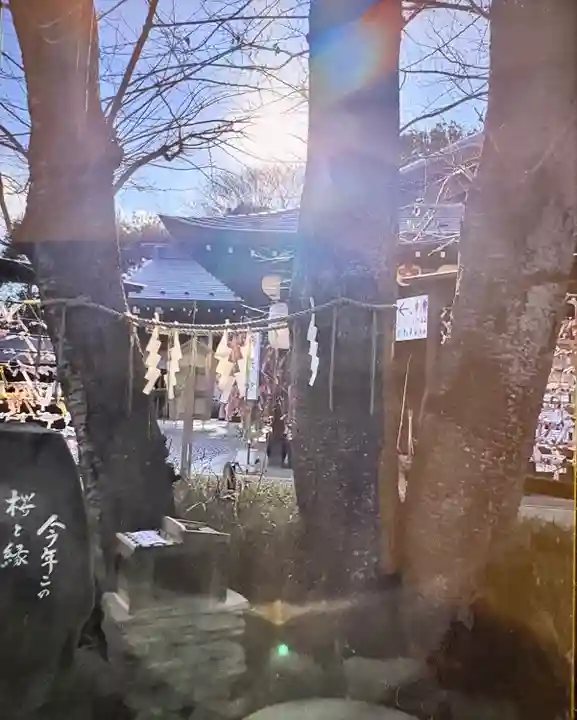 櫻木神社(千葉県)