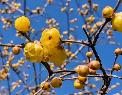 横浜　西方寺(神奈川県)