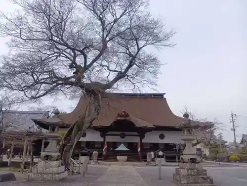 曼陀羅寺(愛知県)