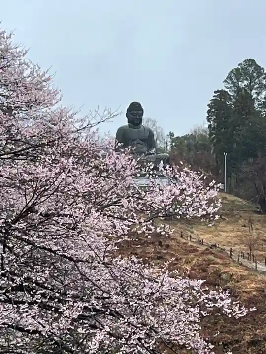 寳光寺 鹿野大佛(東京都)