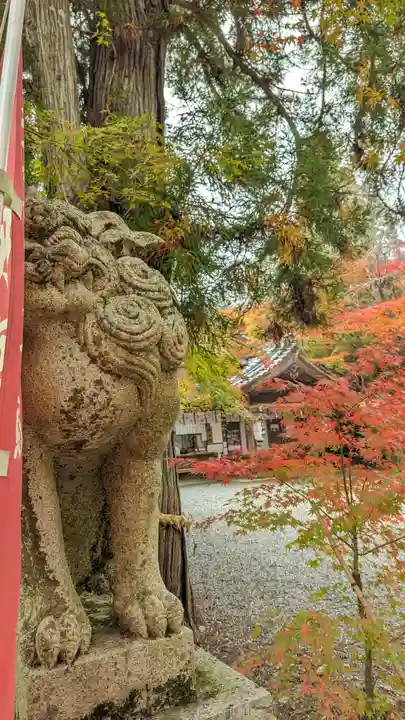 鍬山神社(京都府)