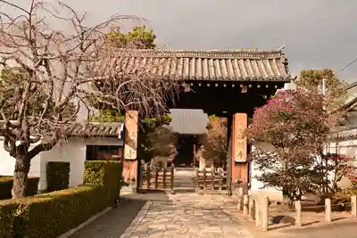 妙顯寺（妙顕寺）(京都府)