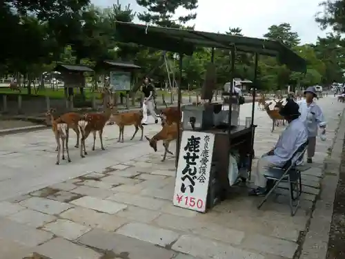 東大寺の動物