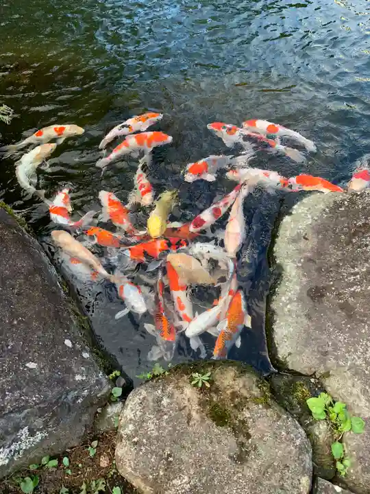 大室山龍渓院の庭園