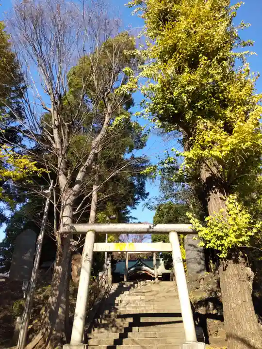 中野氷川神社の鳥居