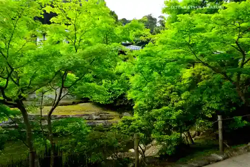 円覚寺(神奈川県)