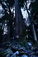 貴船神社奥宮の自然