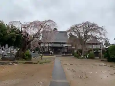常福寺(千葉県)