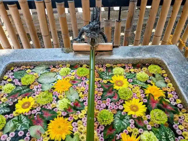 高円寺氷川神社(東京都)