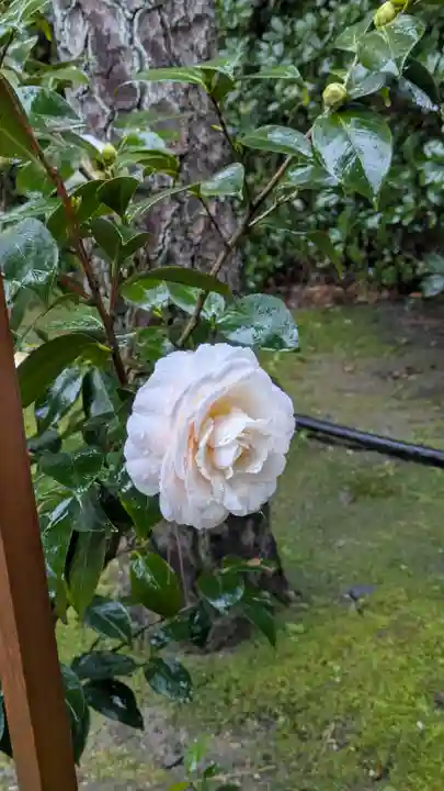 城南宮(京都府)