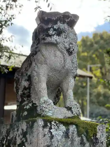 松尾大社の狛犬