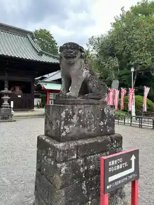 妻沼聖天山歓喜院の狛犬