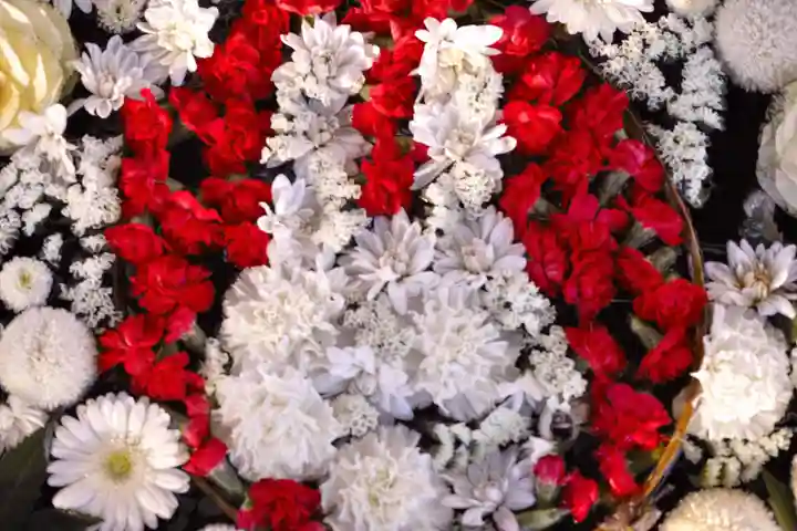 津島神社の自然