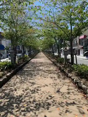 鶴岡八幡宮(神奈川県)