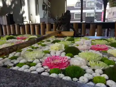 高円寺氷川神社の手水舎