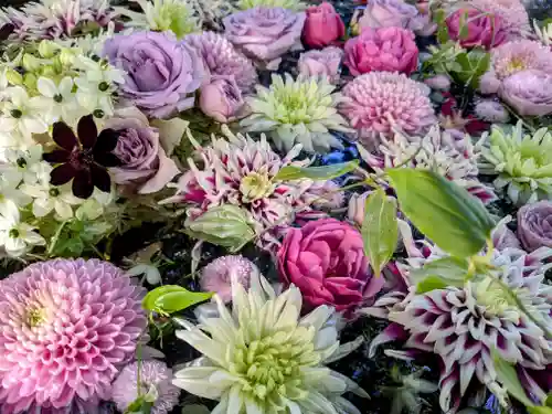 発寒神社(北海道)