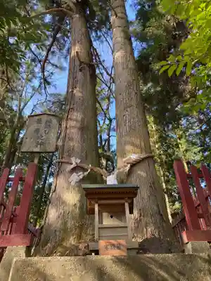 都々古別神社(八槻)の末社・摂社