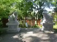 大江神社の狛犬