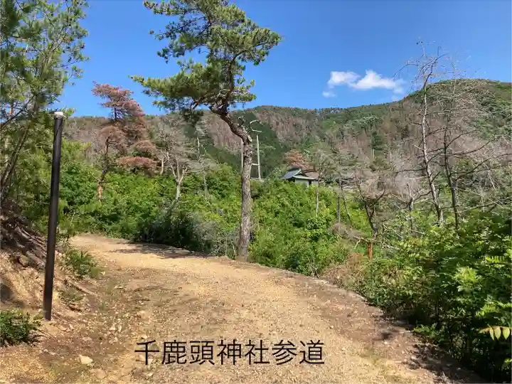 千鹿頭神社(長野県)