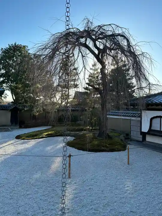 高台寺(高台寿聖禅寺・高臺寺)(京都府)