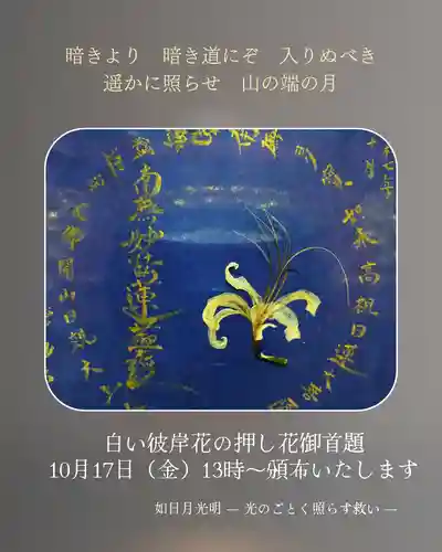 谷中 妙福寺の御朱印